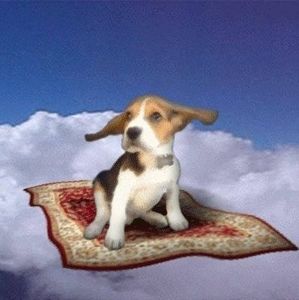 Meet your Posher, Marcia